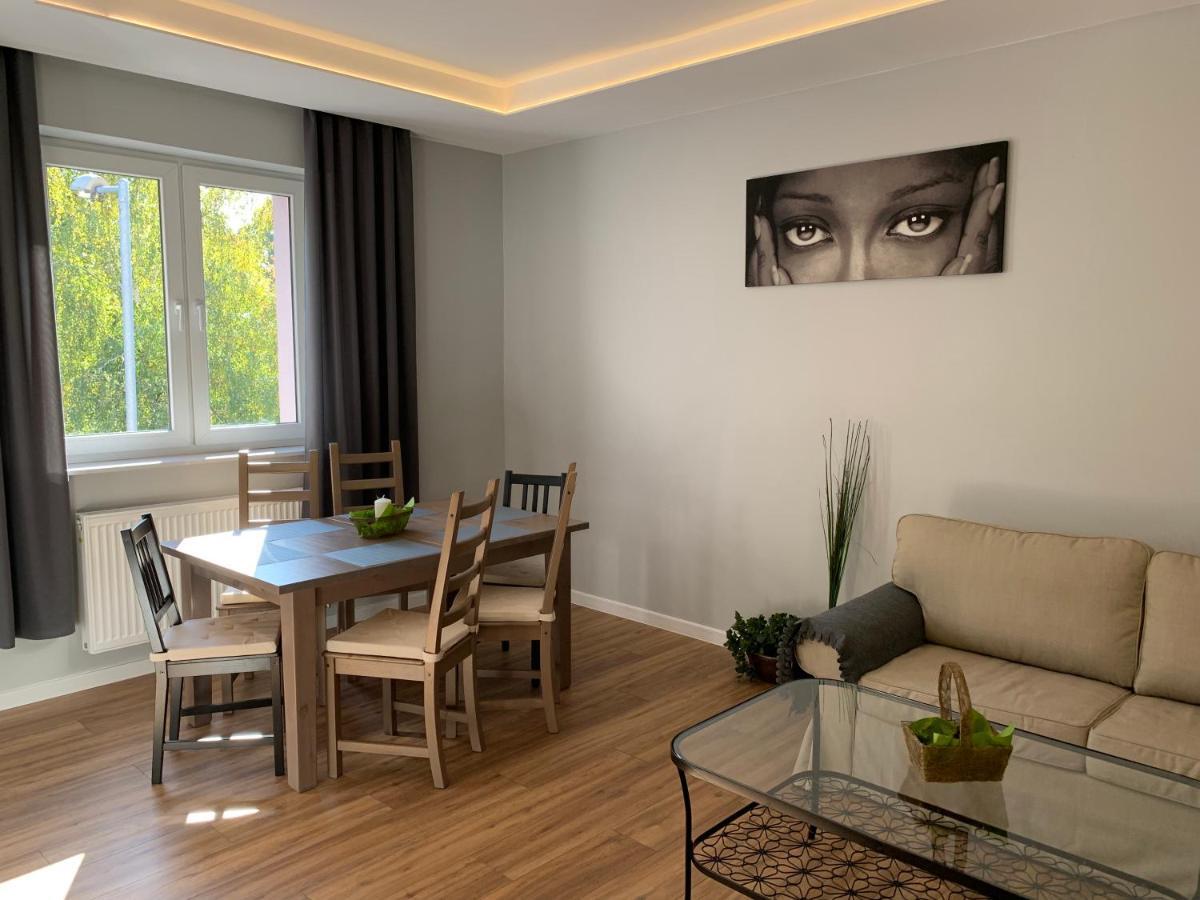 Grey Apartment 50 M2 Tarnowskie Gory Exterior photo