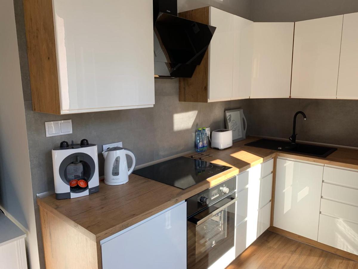 Grey Apartment 50 M2 Tarnowskie Gory Exterior photo